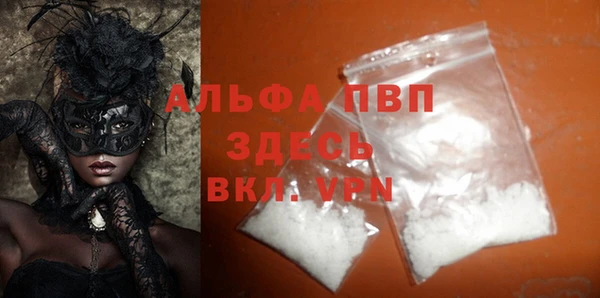 шишки Сясьстрой