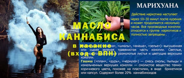шишки Сясьстрой