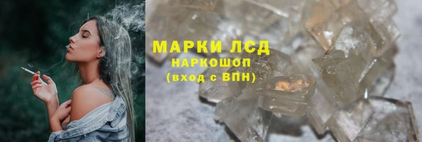 ешки Тайга
