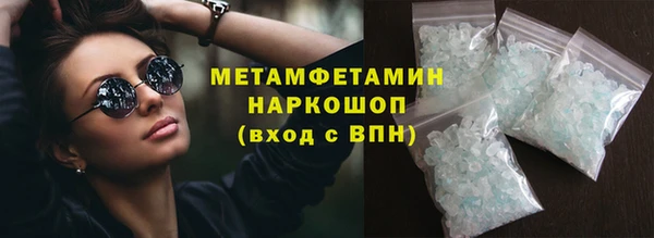 шишки Сясьстрой