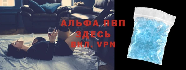 шишки Сясьстрой
