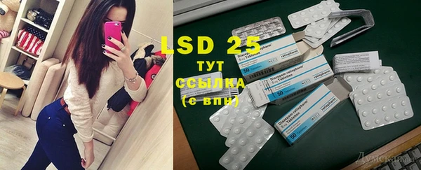 таблы Богданович