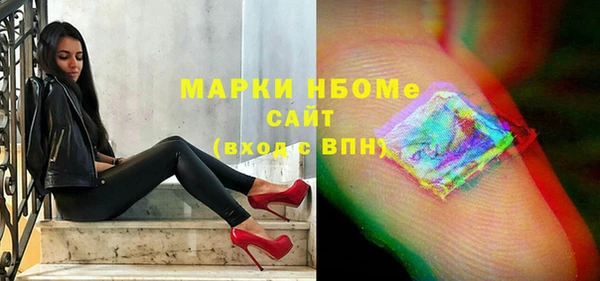 шишки Сясьстрой
