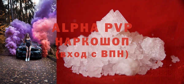 шишки Сясьстрой