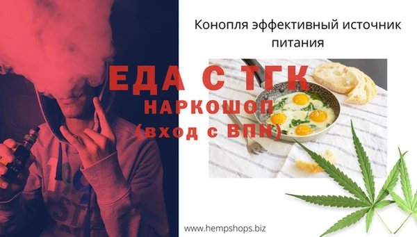 шишки Сясьстрой