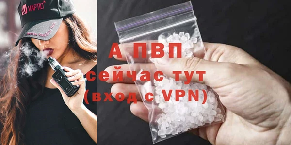 ешки Тайга