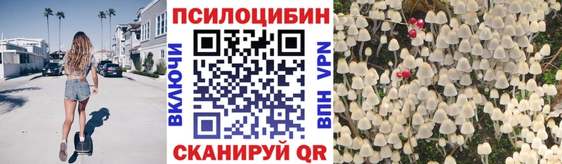 Псилоцибиновые грибы прущие грибы где купить наркоту Сердобск